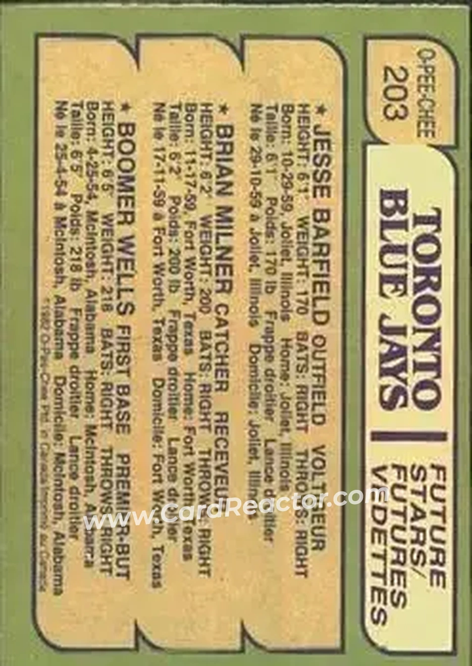 1982 O-Pee-Chee #203 - Card #203 - Toronto Blue Jays - Back 1982 O-Pee-Chee #203 - Card #203 - Toronto Blue Jays - Back