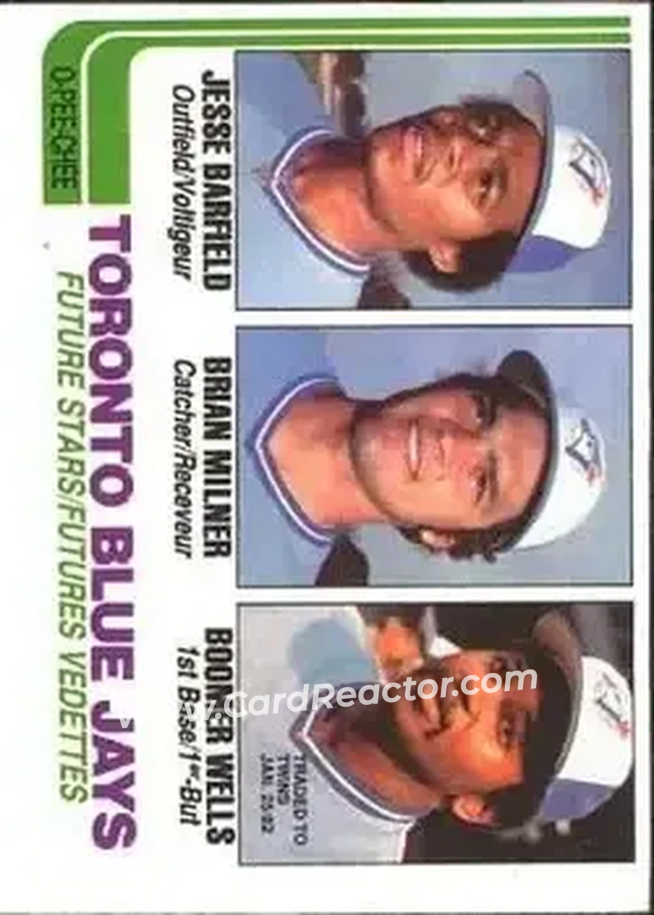 1982 O-Pee-Chee #203 - Card #203 - Toronto Blue Jays - Front 1982 O-Pee-Chee #203 - Card #203 - Toronto Blue Jays - Front