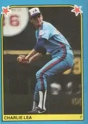 1983 Fleer Star Stickers feature card