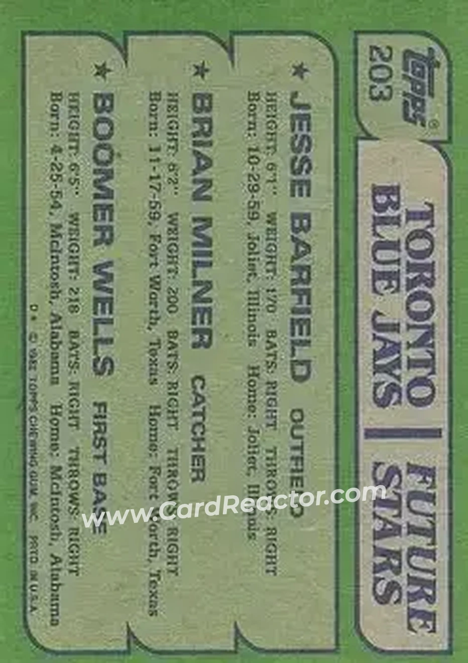 1982 Topps #203 - Card #203 - Toronto Blue Jays - Back