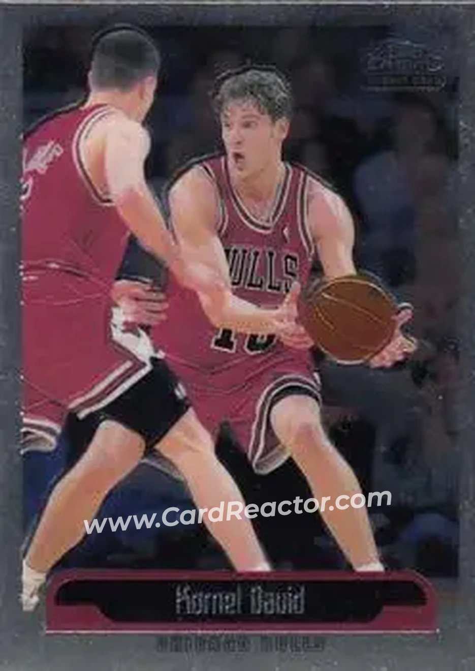 1999-00 Topps Chrome #110 - Kornél Dávid - Chicago Bulls - Front