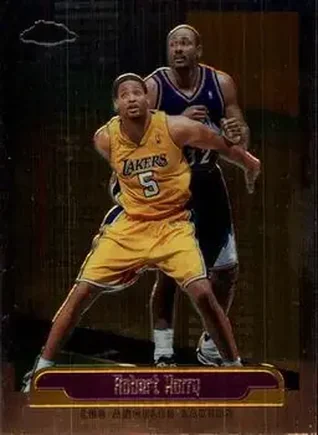 1999-00 Topps Chrome #201 - Robert Horry - Los Angeles Lakers 1999-00 Topps Chrome #201 - Robert Horry - Los Angeles Lakers