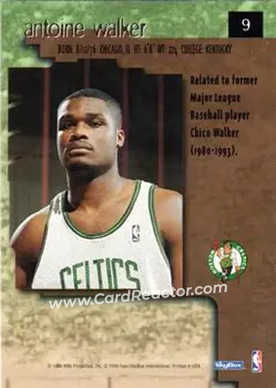 1996-97 SkyBox Premium - Premium Rubies #9 - Antoine Walker - Boston Celtics - Back