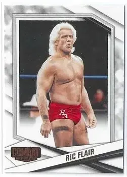 2025 Panini Combat Anthology feature card