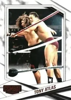 2025 Panini Combat Anthology feature card