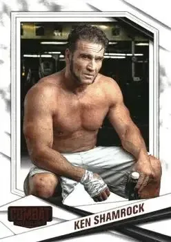 2025 Panini Combat Anthology feature card