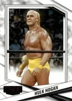 2025 Panini Combat Anthology feature card