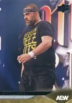 2025 Upper Deck AEW feature card
