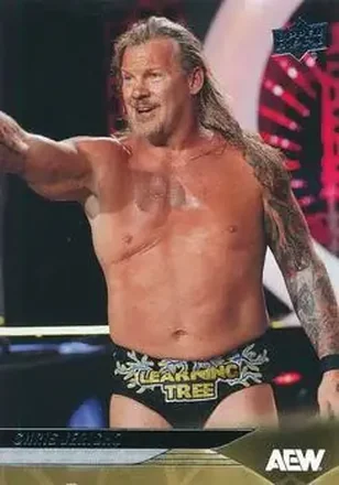2025 Upper Deck AEW #18 - Chris Jericho