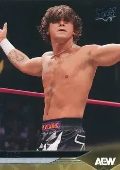 2025 Upper Deck AEW feature card