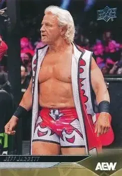 2025 Upper Deck AEW feature card
