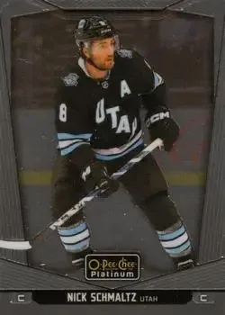 2024-25 O-Pee-Chee Platinum feature card