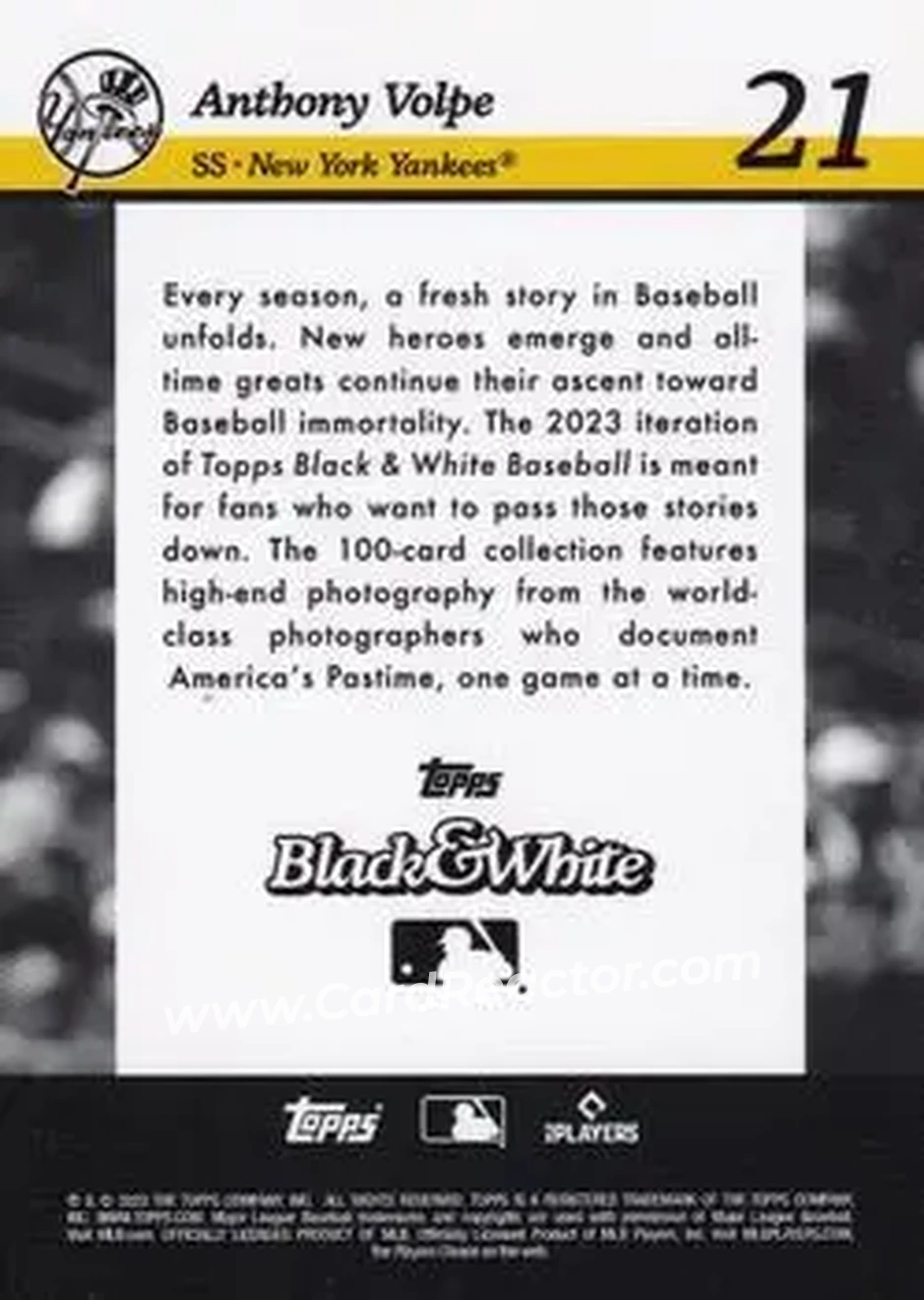 2023 Topps Black & White #21 - Anthony Volpe - New York Yankees - Back