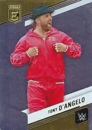 2023 Donruss Elite WWE #1 - Tony D'Angelo