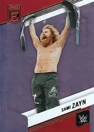 2023 Donruss Elite WWE #8 - Sami Zayn