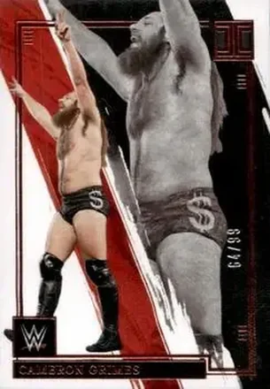 2022 Panini Impeccable WWE #9 - Trevor Lee