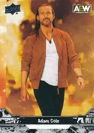 2023 Upper Deck AEW #18 - Adam Cole