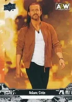 2023 Upper Deck AEW feature card