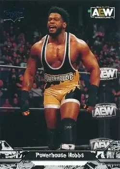 2023 Upper Deck AEW feature card