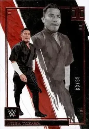 2022 Panini Impeccable WWE #14 - Akira Tozawa