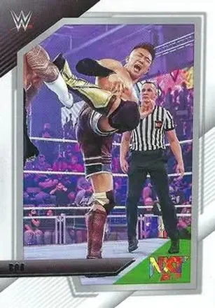 2022 Panini NXT 2.0 WWE #15 - Boa