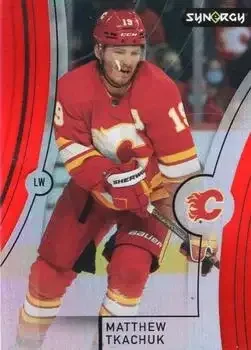 2021-22 Upper Deck Synergy feature card