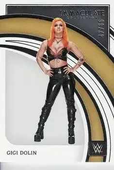 2022 Panini Immaculate Collection WWE feature card