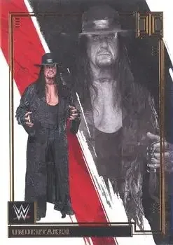 2022 Panini Impeccable WWE feature card