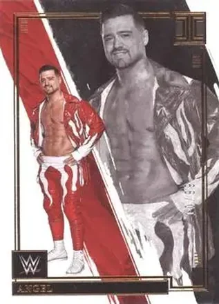 2022 Panini Impeccable WWE #22 - Angel