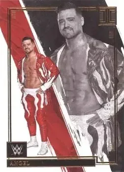 2022 Panini Impeccable WWE feature card