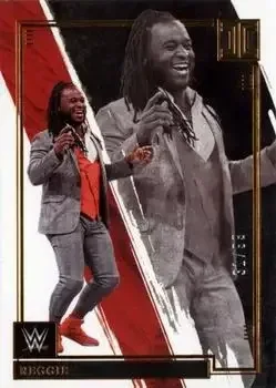 2022 Panini Impeccable WWE feature card
