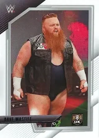 2022 Panini NXT 2.0 WWE #28 - Dave Mastiff