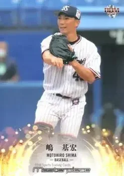 Multi-Sport card