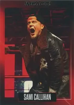 2021 Impact! Wrestling #18 - Sami Callihan