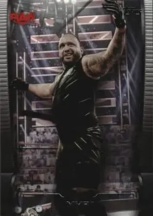 2021 Topps WWE Undisputed #18 - MVP
