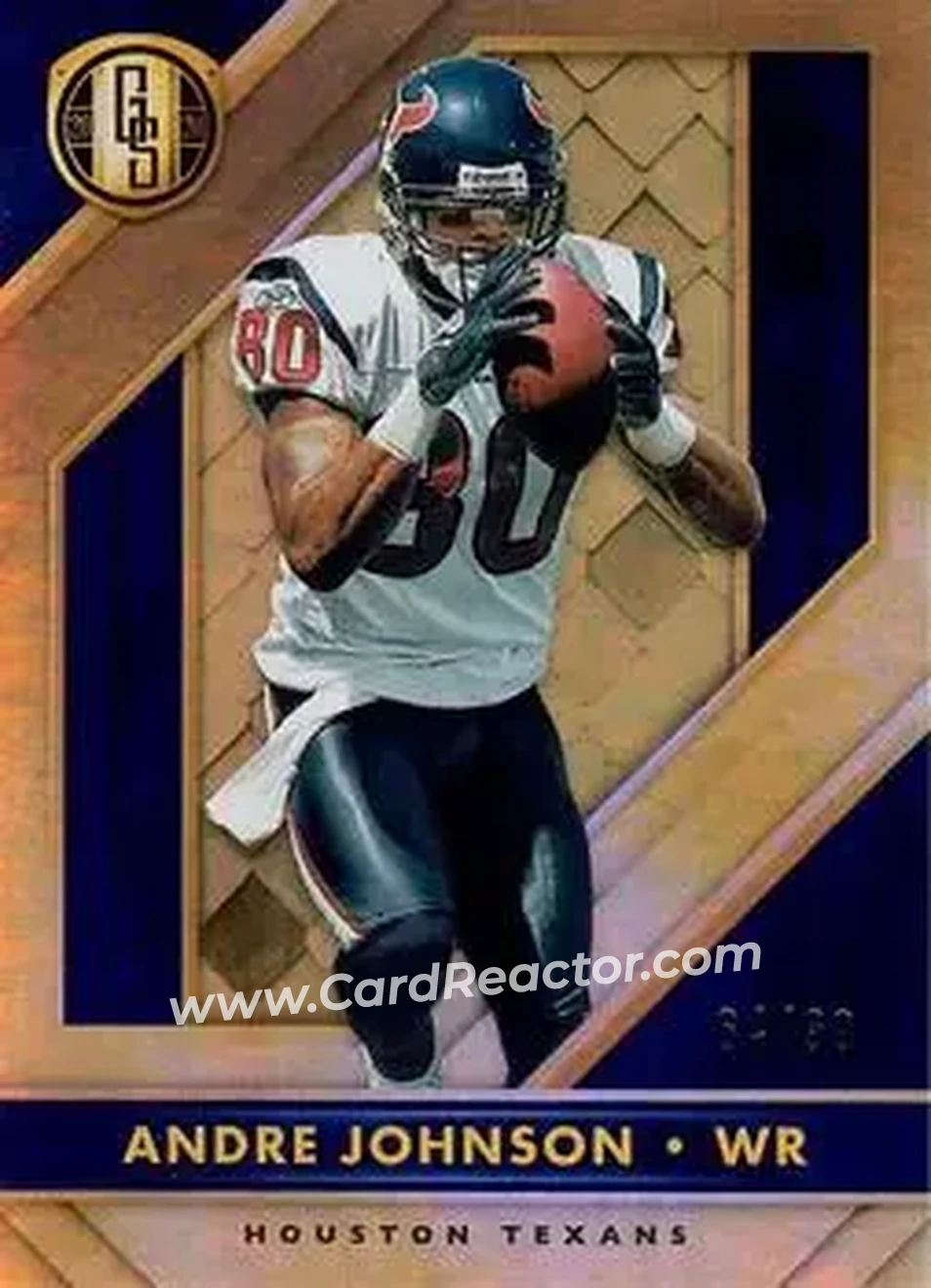 2020 Panini Gold Standard #25 - Andre Johnson - Houston Texans - Front