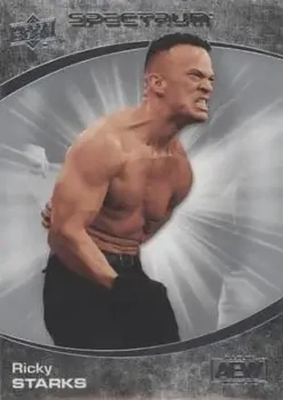 2021 Upper Deck Spectrum AEW #13 - Ricky Saints