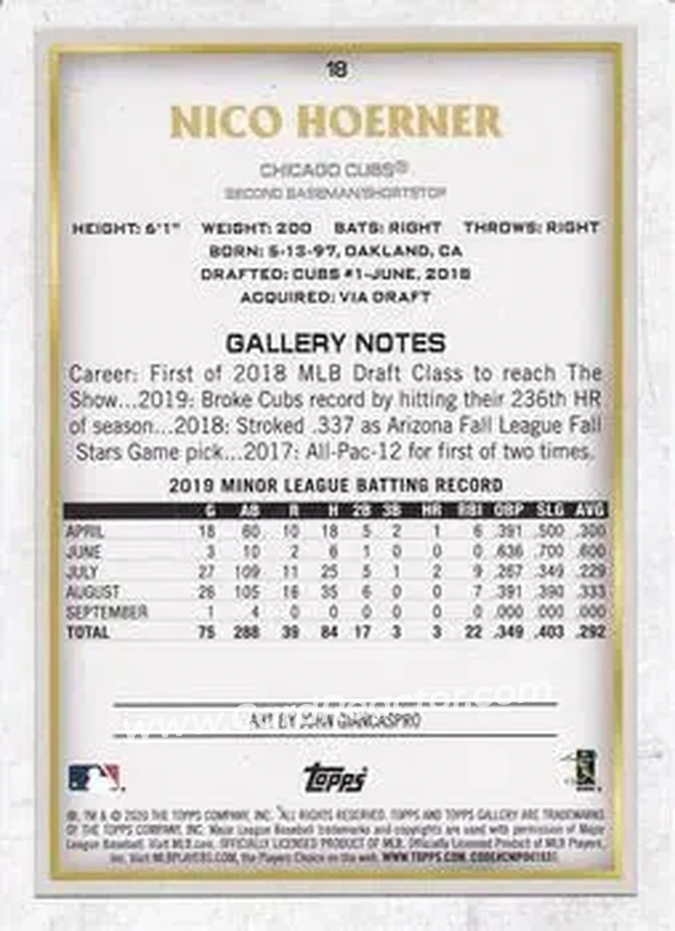 2020 Topps Gallery #18 - Nico Hoerner - Chicago Cubs - Back