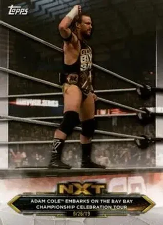 2020 Topps WWE NXT #4 - Adam Cole