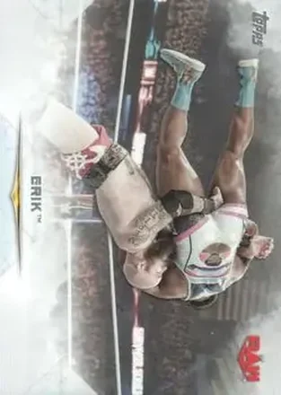 2020 Topps WWE Undisputed #11 - Erick Rowan