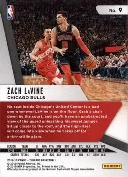 Back of Zach LaVine
