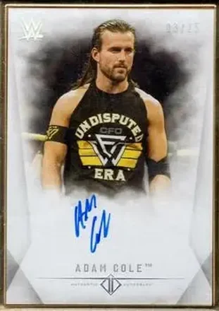 2019 Topps Transcendent Collection WWE #A-AC - Adam Cole