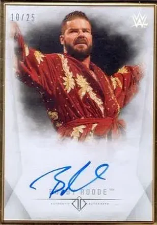 2019 Topps Transcendent Collection WWE #A-BR - Robert Roode