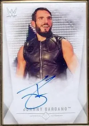 2019 Topps Transcendent Collection WWE #A-JG - Johnny Gargano