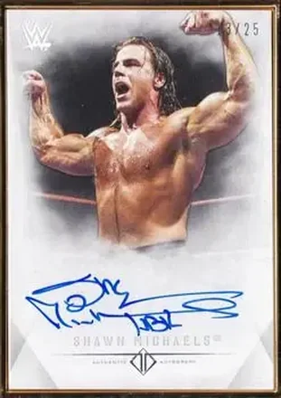 2019 Topps Transcendent Collection WWE #A-SW - Shawn Michaels