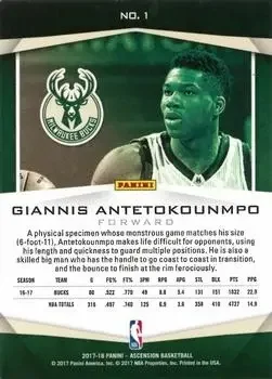 Back of Giannis Antetokounmpo