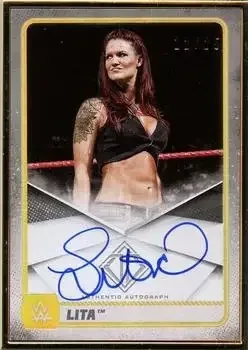 2020 Topps WWE Transcendent feature card
