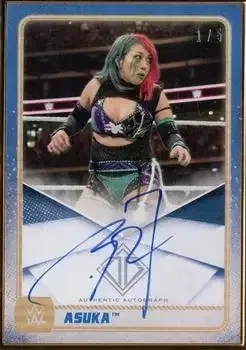 2020 Topps WWE Transcendent feature card