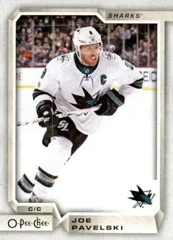 2018-19 O-Pee-Chee feature card