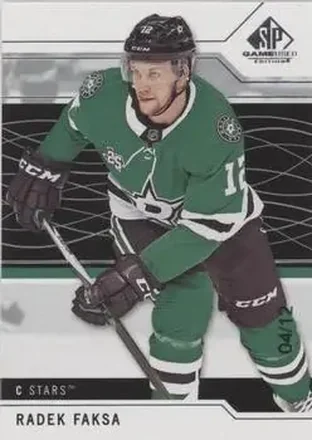 2018-19 SP Game Used #38 - Radek Faksa - Dallas Stars